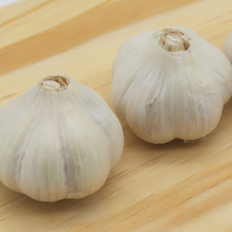 Organic Garlic