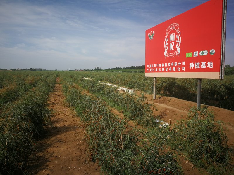 基地.jpg