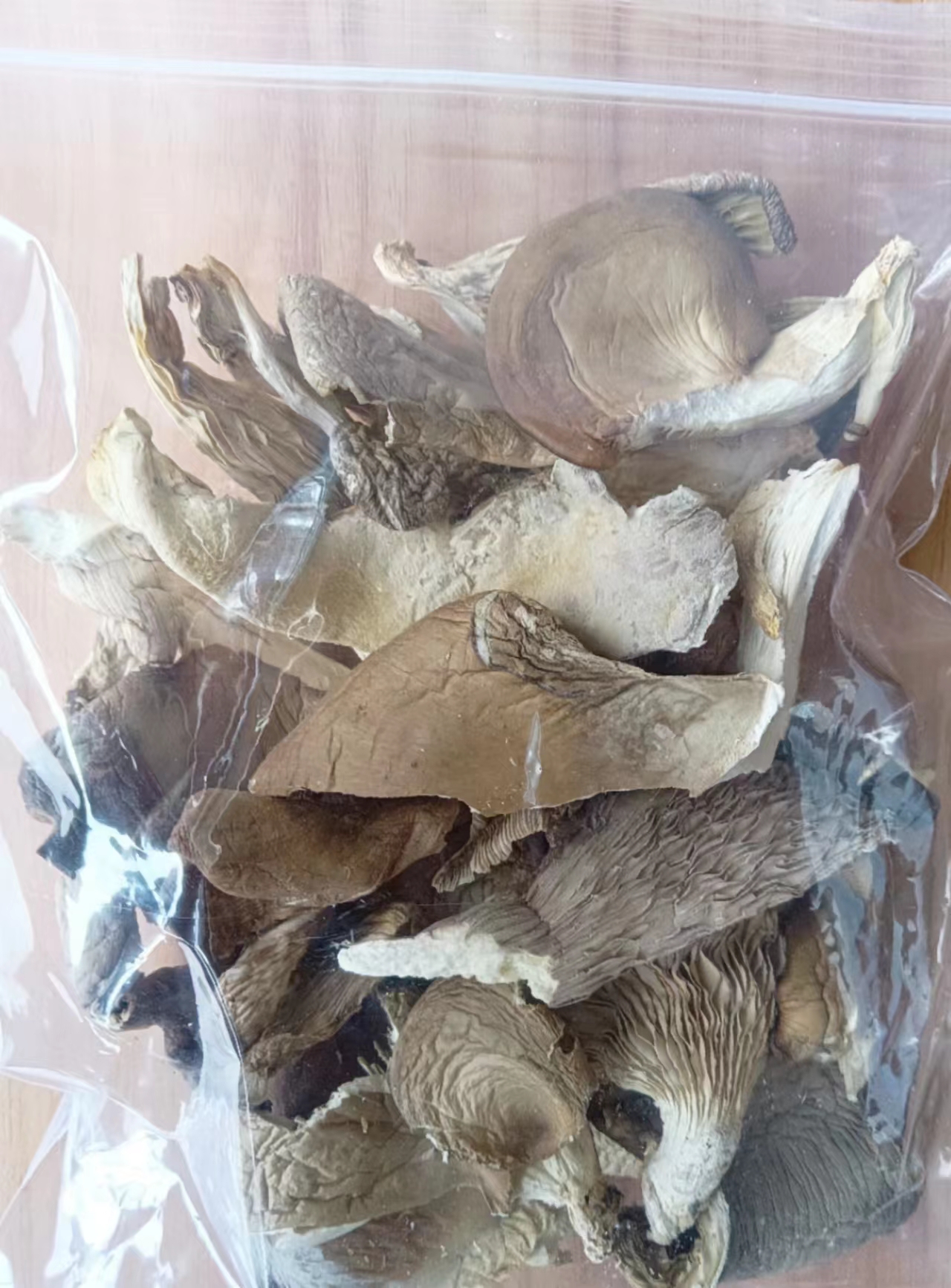 Dried Oyter Mushroom.jpg