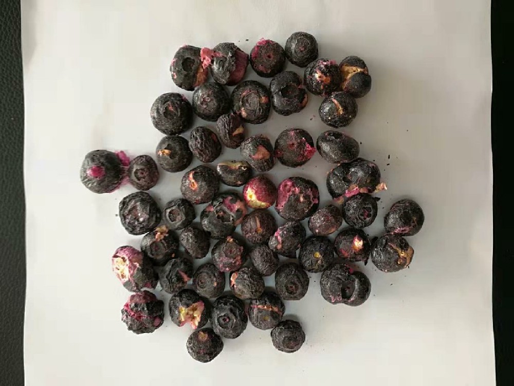 https://imgs.sialshenzhen.com/image/a0c8d202306121519437475.jpg