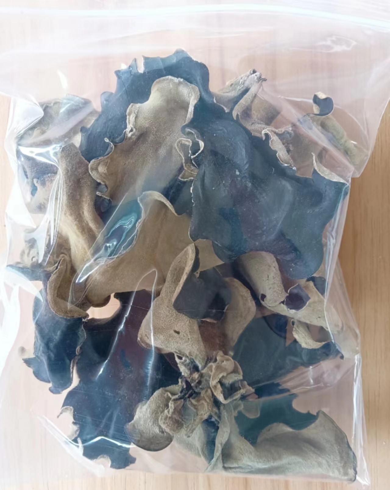 White Back Black Fungus.jpg